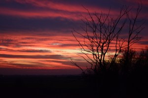 A winter sunset in the Fens