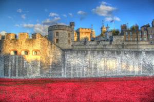 The Tower of London moat filled with remembrance poppies